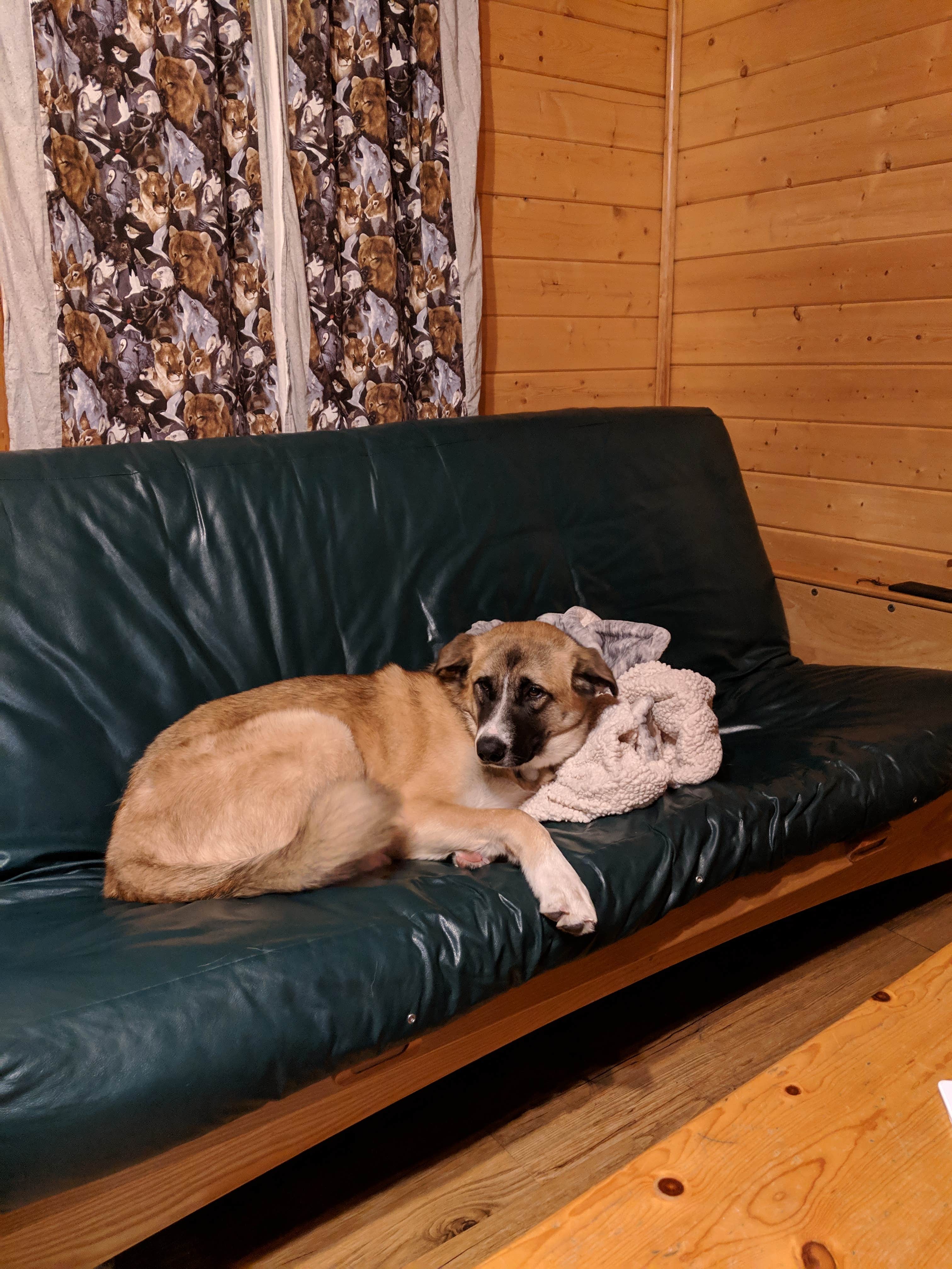 Camper submitted image from LaPine State Park Campground - 4