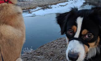 Hayden B.'s photo of camping with pets at LaPine State Park Campground near Deschutes & Ochoco National Forests & Crooked River National Grassland