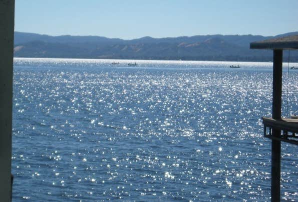 Camper submitted image from Sandpiper RV Park - 4