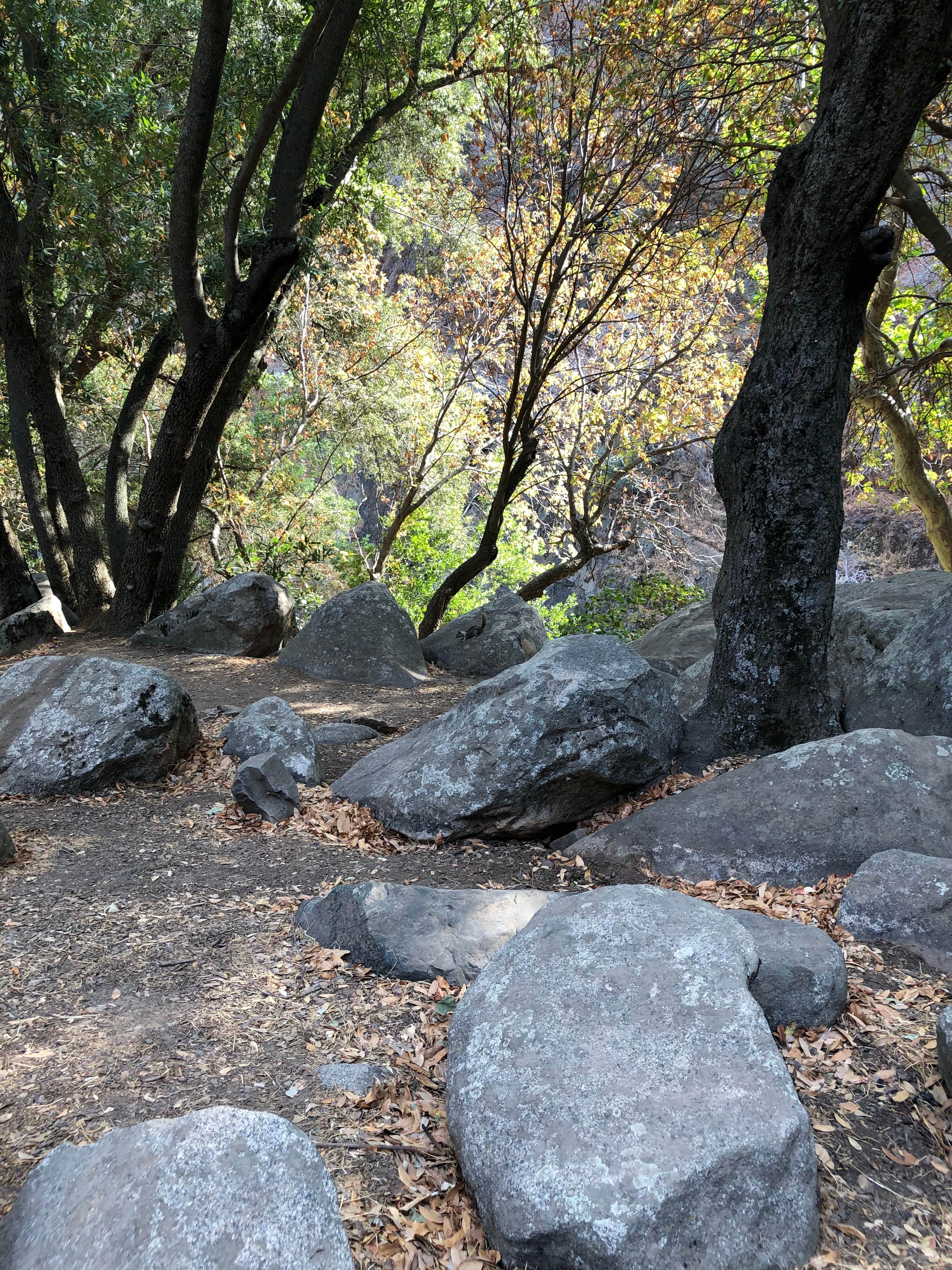 Camper submitted image from Buckeye Flat Campground — Sequoia National Park - 5