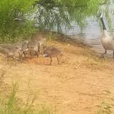 Review photo of South Dam - Lake Thunderbird State Park by Nicholas L., May 15, 2019