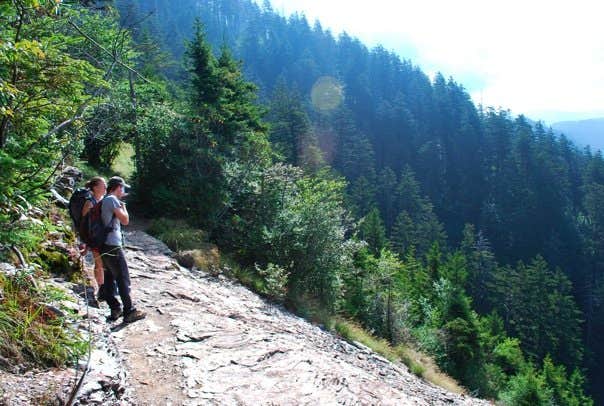 Camper submitted image from Mount LeConte Shelter — Great Smoky Mountains National Park - 5