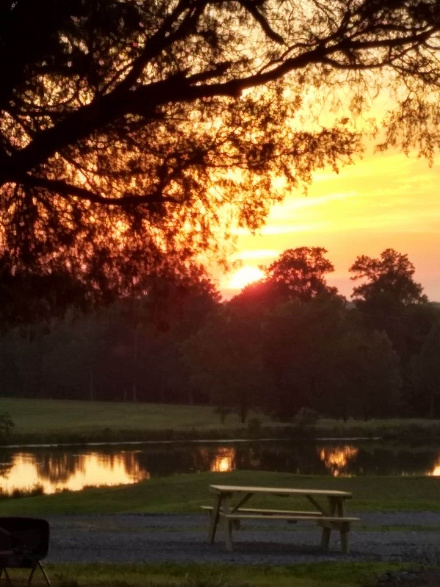 Camper submitted image from Shawnee Forest Campground - 3