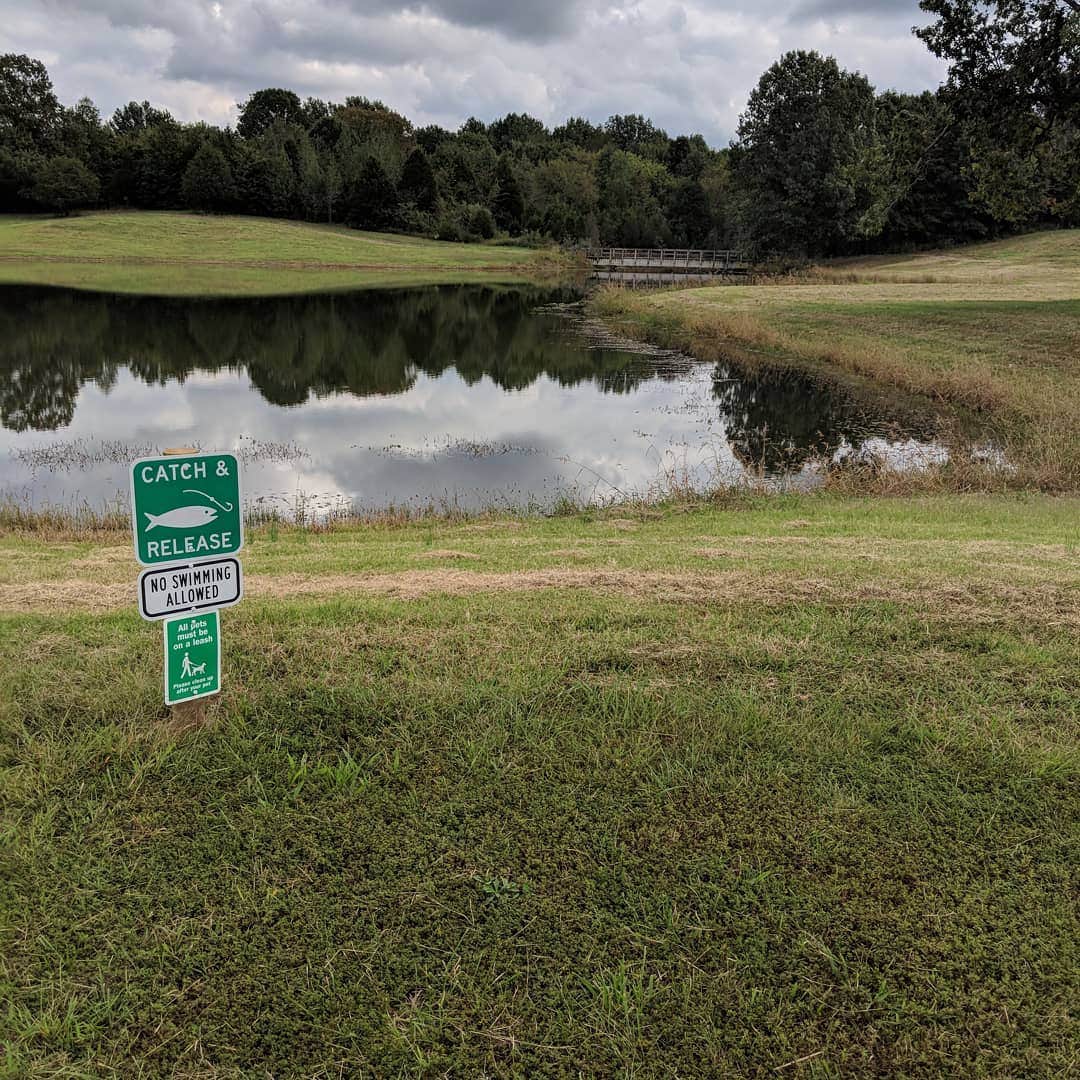 Camper-submitted photo at Shawnee Forest Campground near Whittington, IL