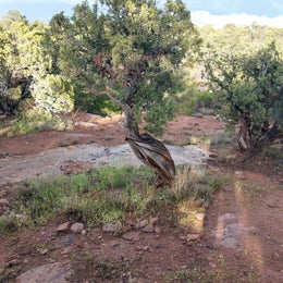 Public Campgrounds: Saddlehorn Campground — Colorado National Monument