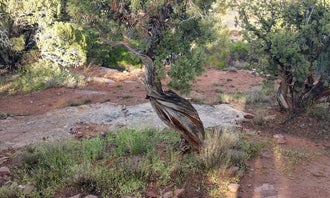 Camping near Westwater Group Site (ranger Station): Saddlehorn Campground — Colorado National Monument, Fruita, Colorado