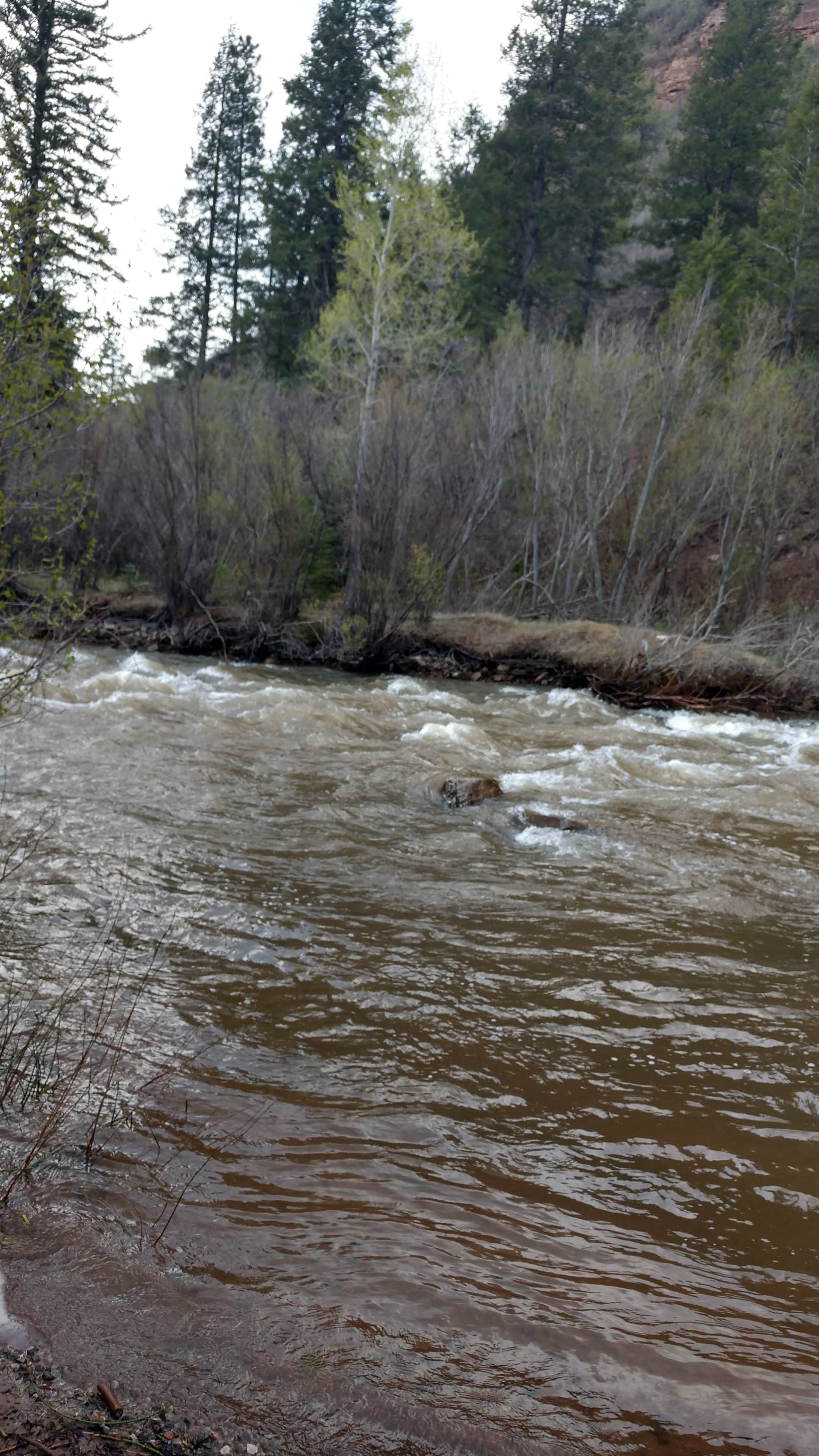 Camper submitted image from Lower Beaver Creek Campground - 3