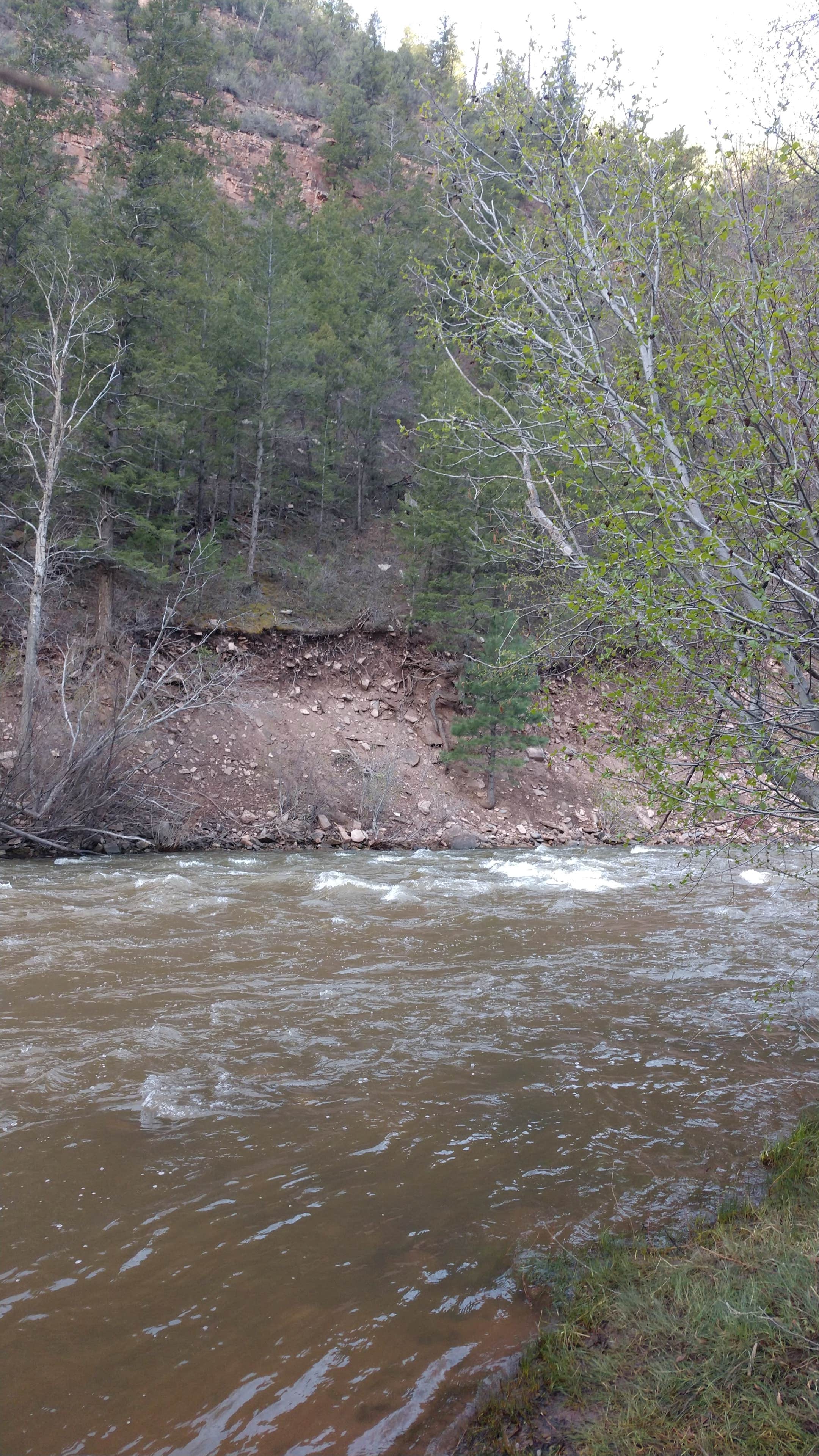 Camper-submitted photo at Lower Beaver Creek Campground near South Fork, CO
