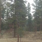 Review photo of South Meadows Campground by Sarah L., May 15, 2019