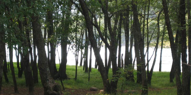 Camper submitted image from Glade Creek Campground — New River Gorge National Park and Preserve