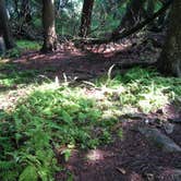 Review photo of South Nicolet Bay Campground — Peninsula State Park by Jimmy P., July 31, 2015