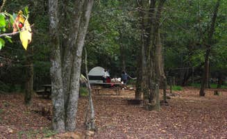 The Dyrt's photo at Glade Creek Campground — New River Gorge National Park and Preserve near Danese, WV