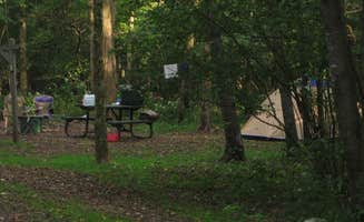 The Dyrt's photo at Glade Creek Campground — New River Gorge National Park and Preserve near Beckley, WV