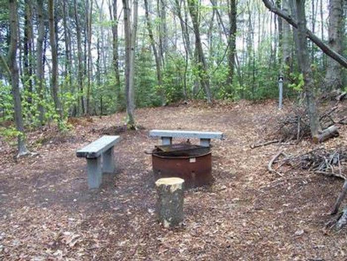 Camper submitted image from Preservation Point Campsite on Grand Island - 1