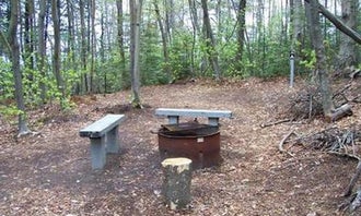 Camping near Shelter Ridge Campsite On Grand Island: Preservation Point Campsite on Grand Island, Munising, Michigan