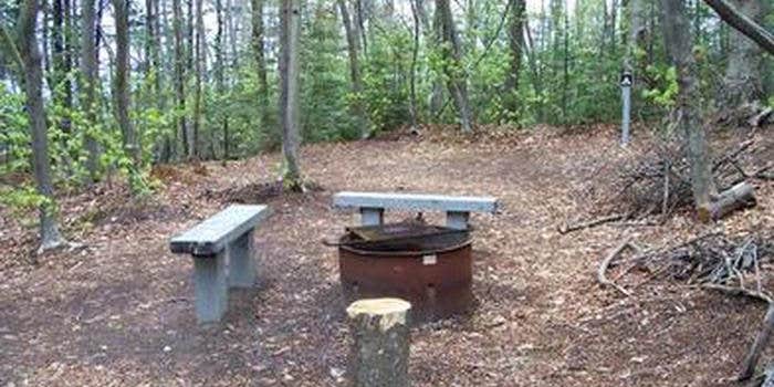 Camper submitted image from Preservation Point Campsite on Grand Island