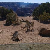 Review photo of Wedge Overlook by Sarah L., May 15, 2019