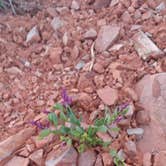 Review photo of Hole in the Rock Road at Grand Staircase-Escalante by Sarah L., May 15, 2019