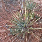 Review photo of Hole in the Rock Road at Grand Staircase-Escalante by Sarah L., May 15, 2019