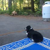 Review photo of Swift Forest Camp by Katie B., August 29, 2016