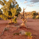 Review photo of Hole in the Rock Road at Grand Staircase-Escalante by Sarah L., May 15, 2019