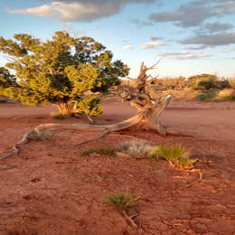 Hole in the Rock Road at Grand Staircase-Escalante