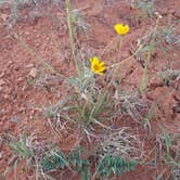 Review photo of Hole in the Rock Road at Grand Staircase-Escalante by Sarah L., May 15, 2019