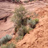 Review photo of Hole in the Rock Road at Grand Staircase-Escalante by Sarah L., May 15, 2019