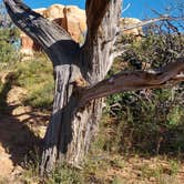 Review photo of Hole in the Rock Road at Grand Staircase-Escalante by Sarah L., May 15, 2019