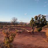 Review photo of Hole in the Rock Road at Grand Staircase-Escalante by Sarah L., May 15, 2019