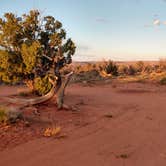 Review photo of Hole in the Rock Road at Grand Staircase-Escalante by Sarah L., May 15, 2019