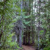 Review photo of Trillium Lake by Meg  S., August 1, 2015