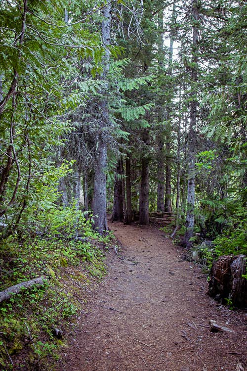 Camper submitted image from Trillium Lake - 4