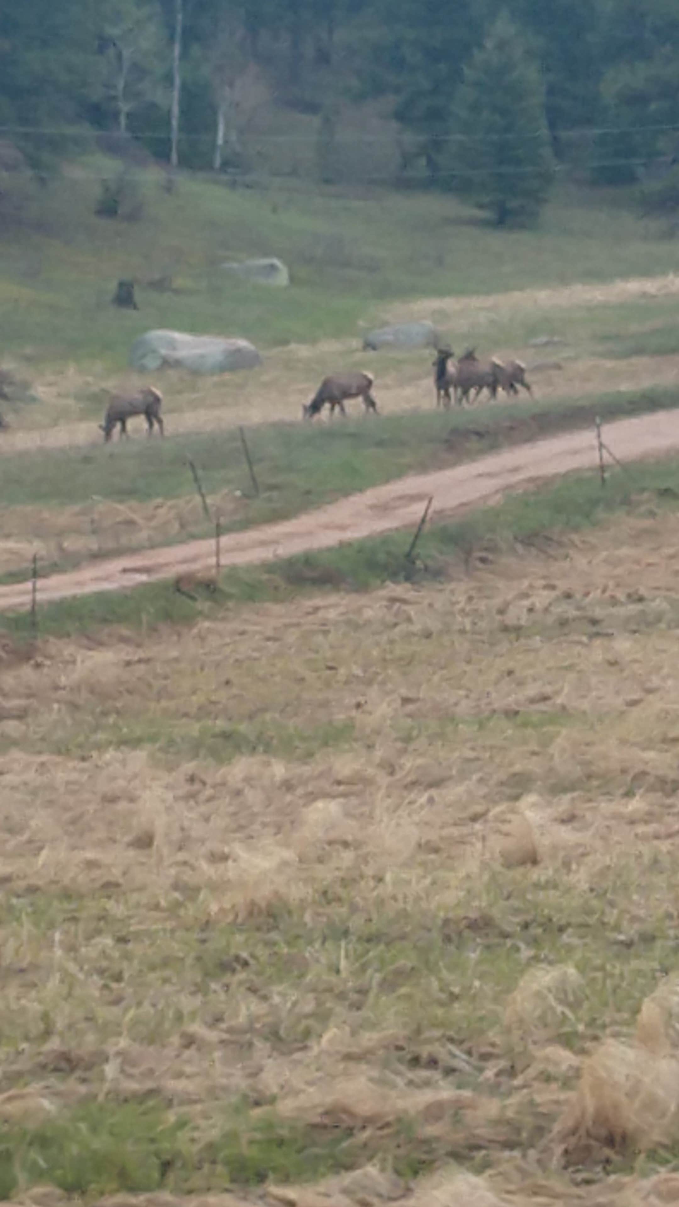 Camper-submitted photo at Devil's Head Campground near Castle Rock, CO
