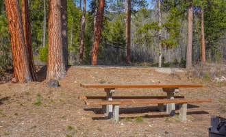 Camping near Painted Rocks State Park Campground: Indian Trees Campground, Sula, Montana