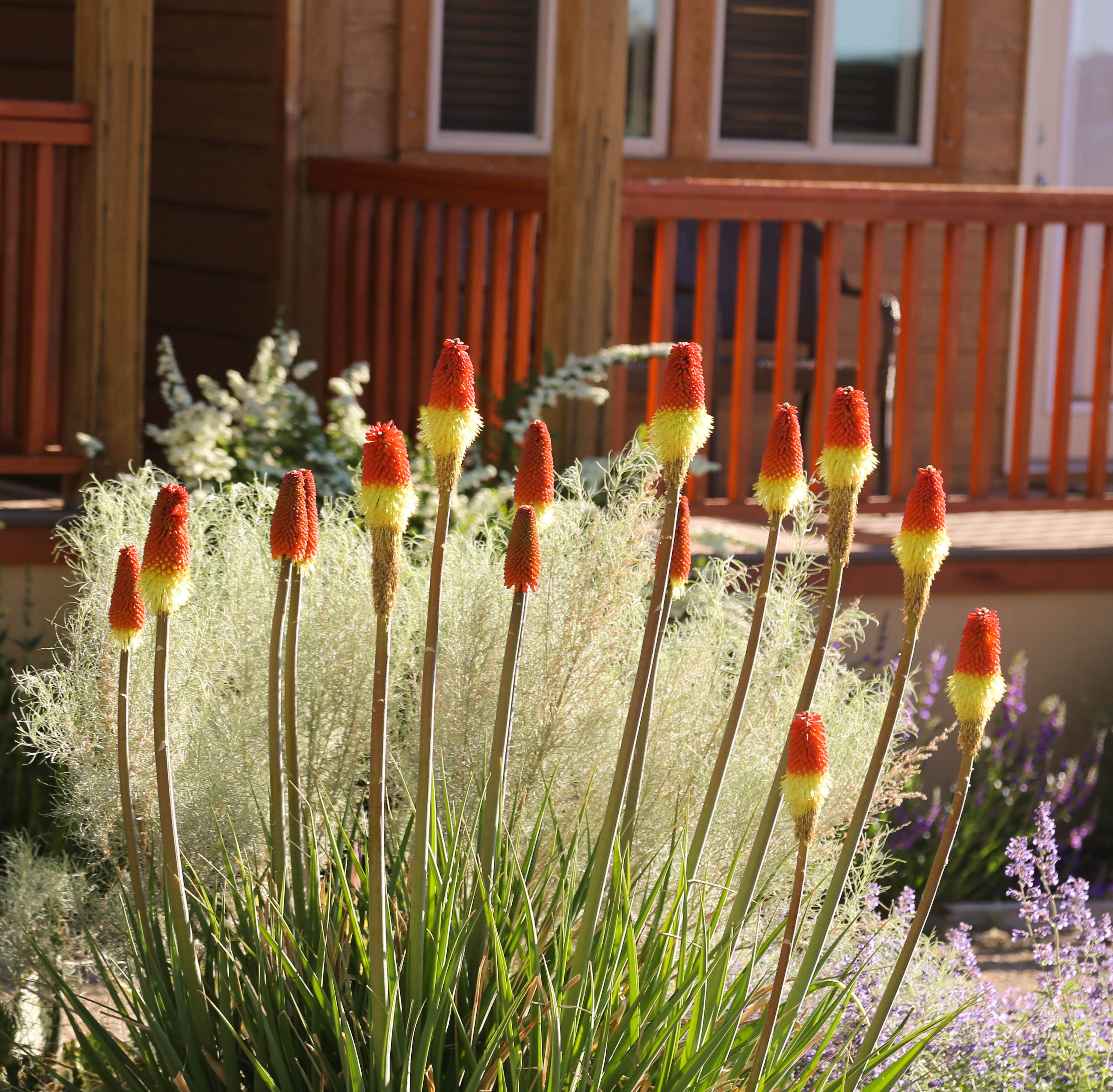 Camper-submitted photo at Canyons of Escalante RV Park near Escalante, UT