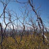 Review photo of Morefield Campground — Mesa Verde National Park by Bobby Sue J., August 29, 2016
