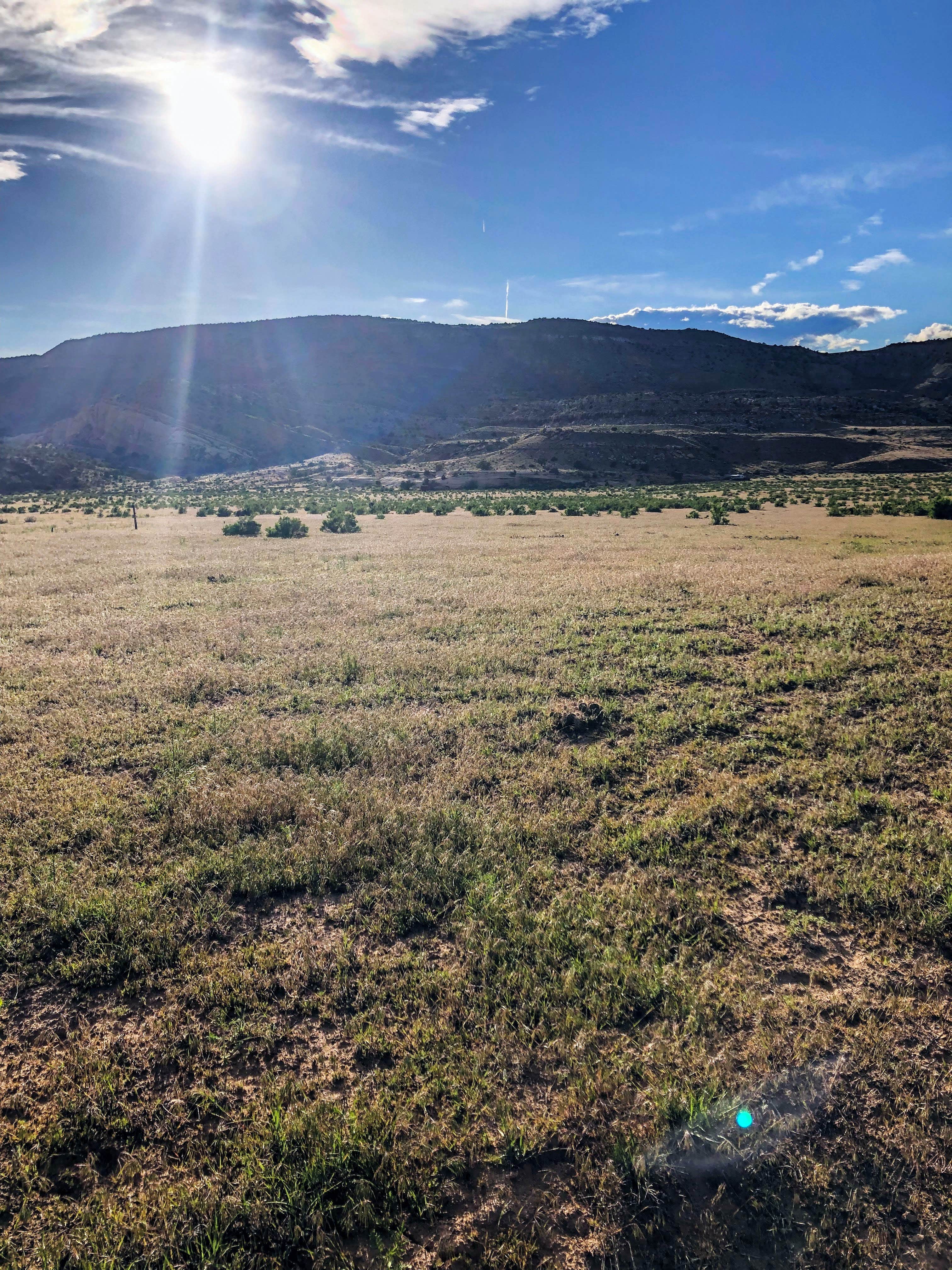 Camper-submitted photo at Jouflas Campground near Mack, CO