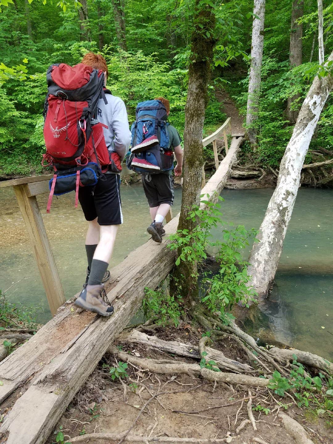 Camper submitted image from Walls of Jericho - Clark Cemetery Backcountry Campsite - 1