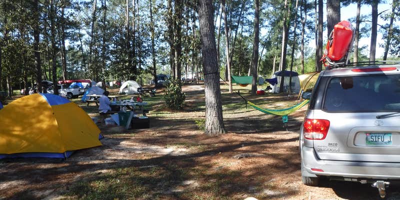 Camper submitted image from Magnolia Branch Wildlife Reserve RV/Tent Camping