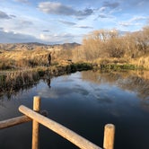 Review photo of Cody Trout Ranch Camp - RV, Tipi, and Sheep Wagon Camping by Erin M., May 15, 2019
