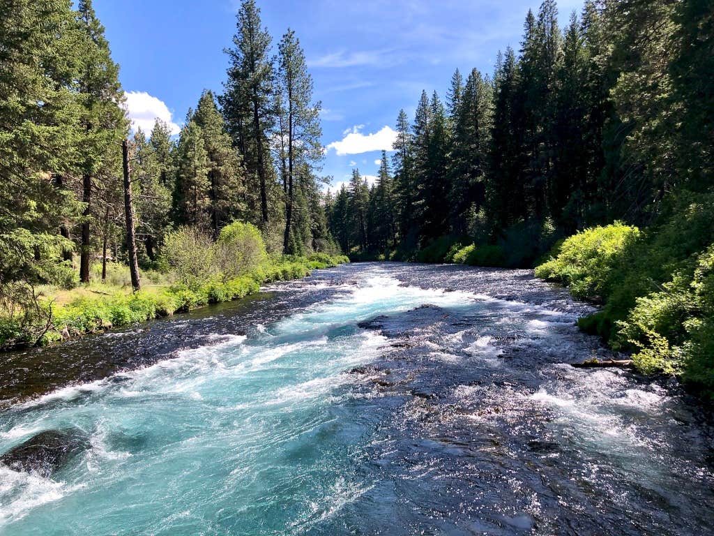 Camper submitted image from Lower Canyon Creek Campground - 3