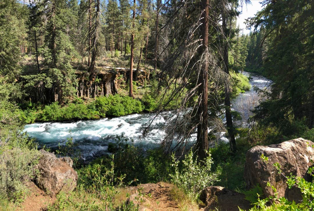 Camper submitted image from Lower Canyon Creek Campground - 2