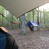 Review photo of Alum Gap Campground — Savage Gulf State Park by Charles M., May 15, 2019