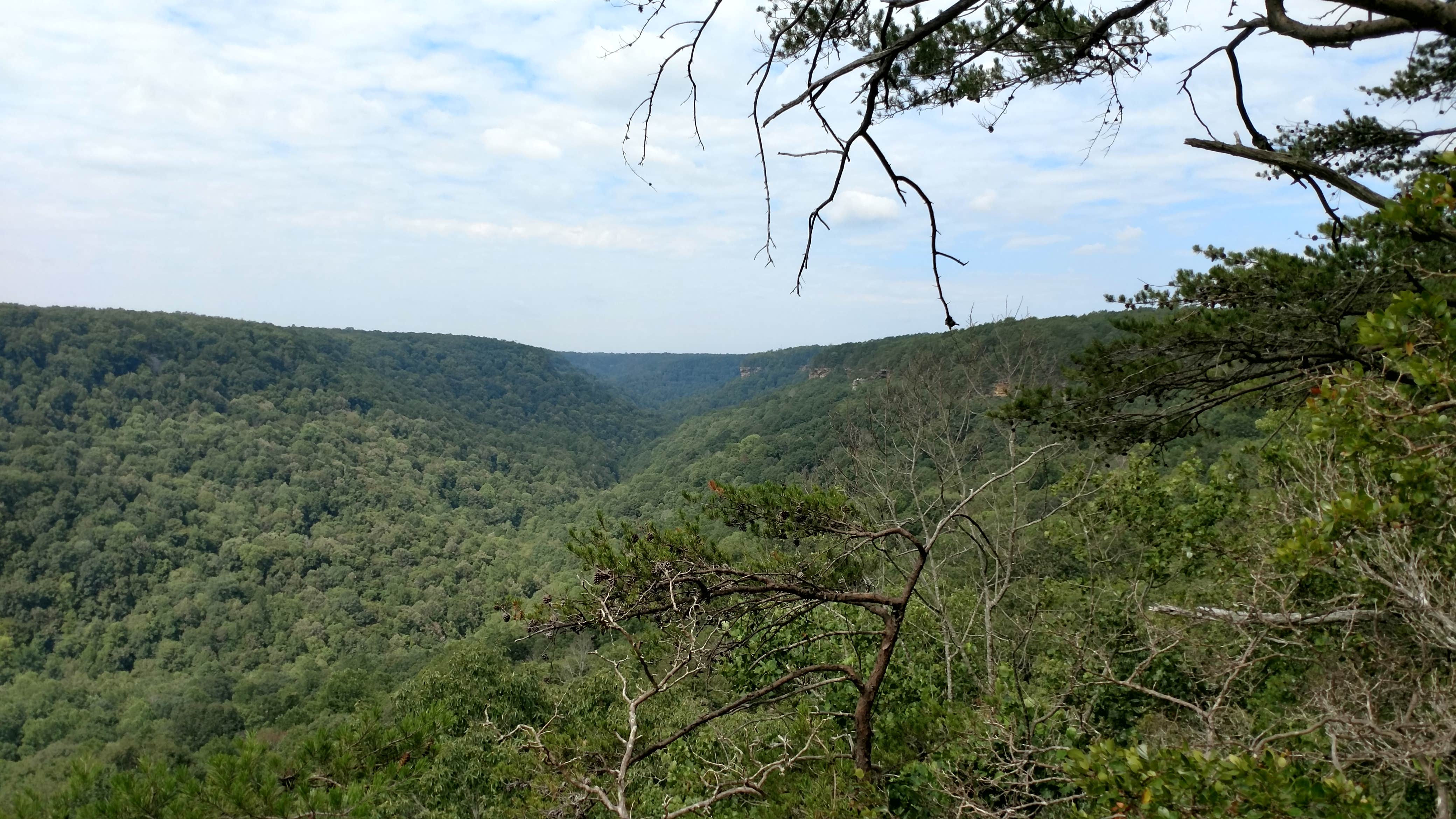 Alum Gap Campground — Savage Gulf State Park | Beersheba Springs, TN