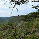 Review photo of Alum Gap Campground — Savage Gulf State Park by Charles M., May 15, 2019