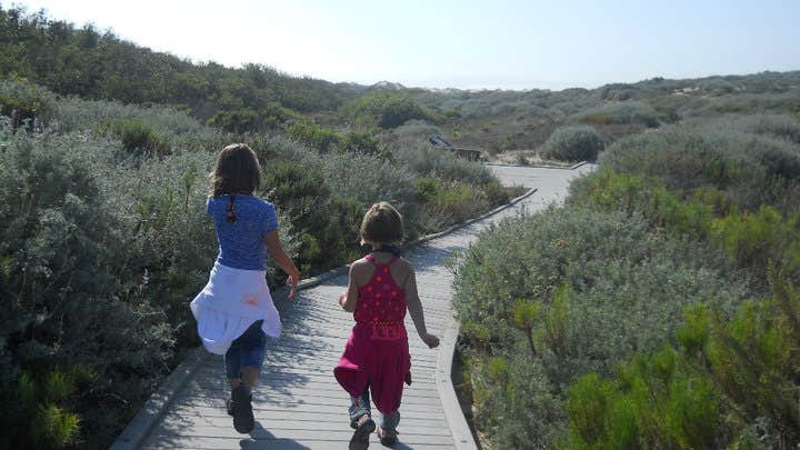Camper-submitted photo at Oceano Campground — Pismo State Beach near Santa Maria, CA