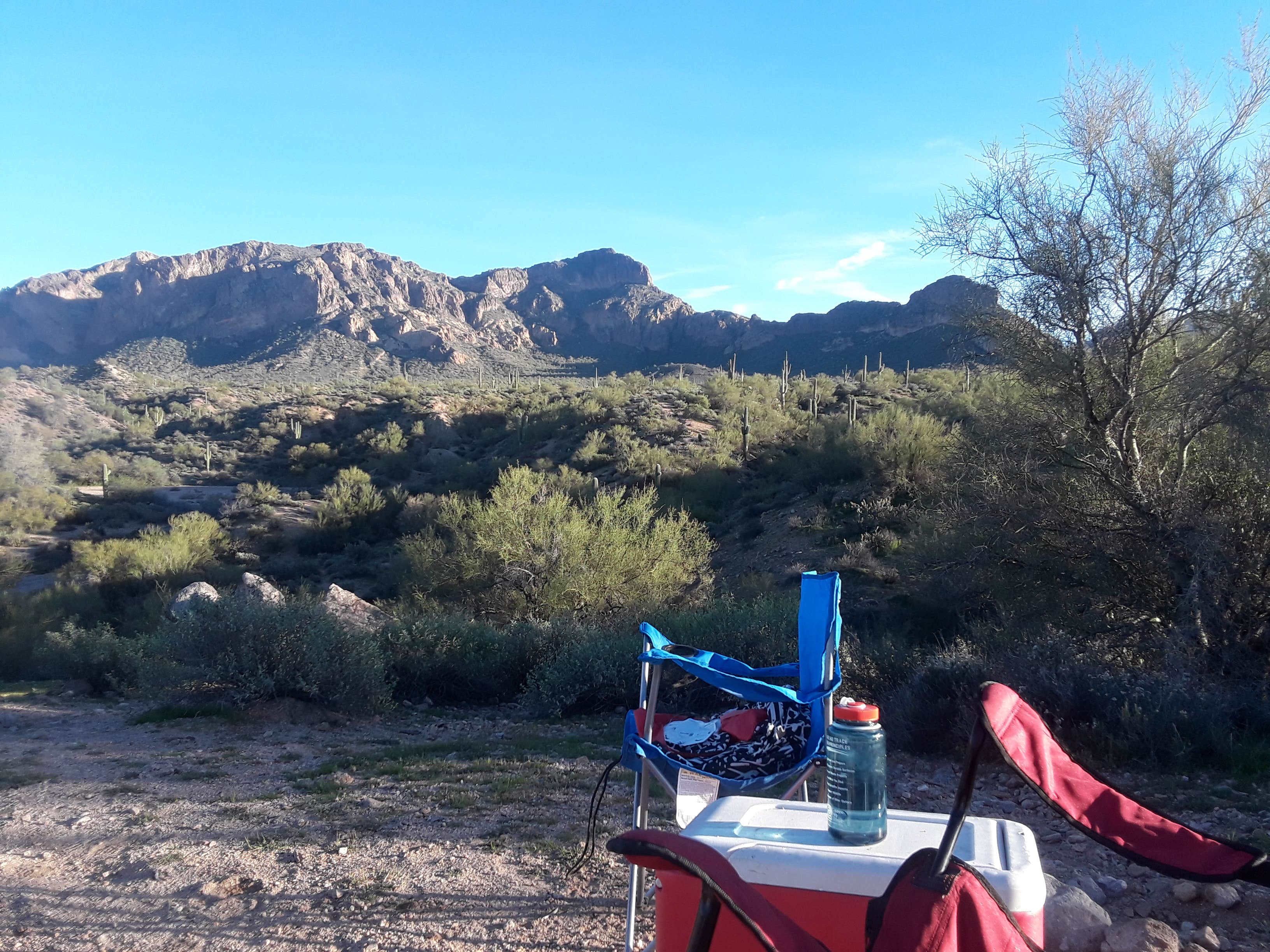 Leanne S.'s photo at Bulldog Canyon Dispersed Camping - North Entrance near Phoenix, AZ