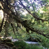 Review photo of Ripplebrook Campground CLOSED INDEFINITELY DUE TO FIRE by Katie B., August 29, 2016