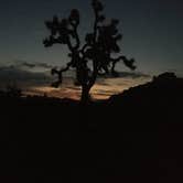 Review photo of Hidden Valley Campground — Joshua Tree National Park by Jill E., May 15, 2019